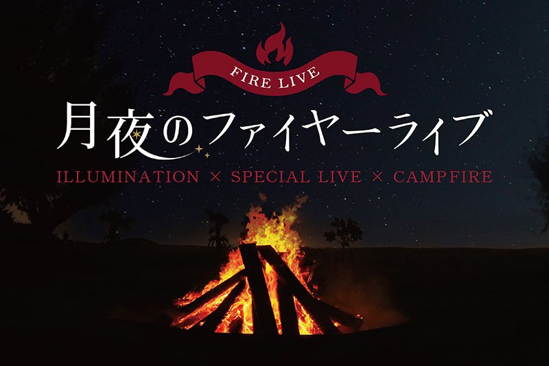 月夜のファイヤーライブ