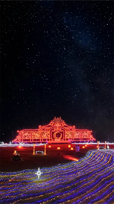 月夜のワンダーイルミネーション