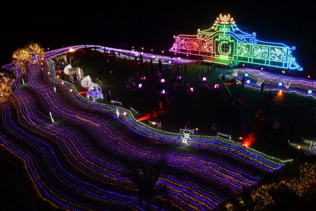 『月夜のワンダーイルミネーション』ついに点灯しました！