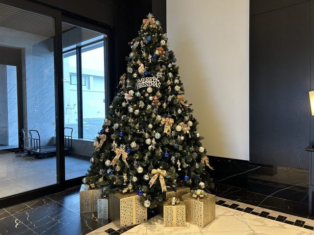 クリスマスツリー登場！クリスマス限定イベントも♪