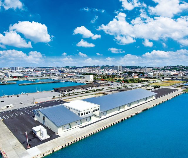 【生マグロが無料！】セリ見学＆新鮮マグロ朝食ツアー＠イマイユ市場